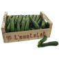 COURGETTE VERTE OUSTALET 9KG